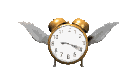 time_flys_wings_md_clr.gif